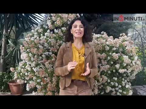 Agrigento Capitale Italiana della Cultura 2025, ecco l’ultimo video, il 25esimo